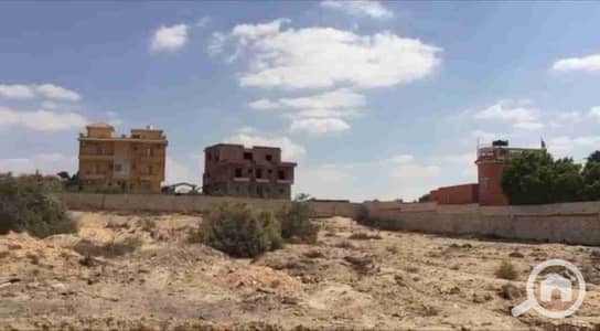 زراعي للبيع في 6 أكتوبر، الجيزة - IMG-20240910-WA0002. jpg زراعي للبيع في 6 أكتوبر، الجيزة - IMG-20240910-WA0002. jpg