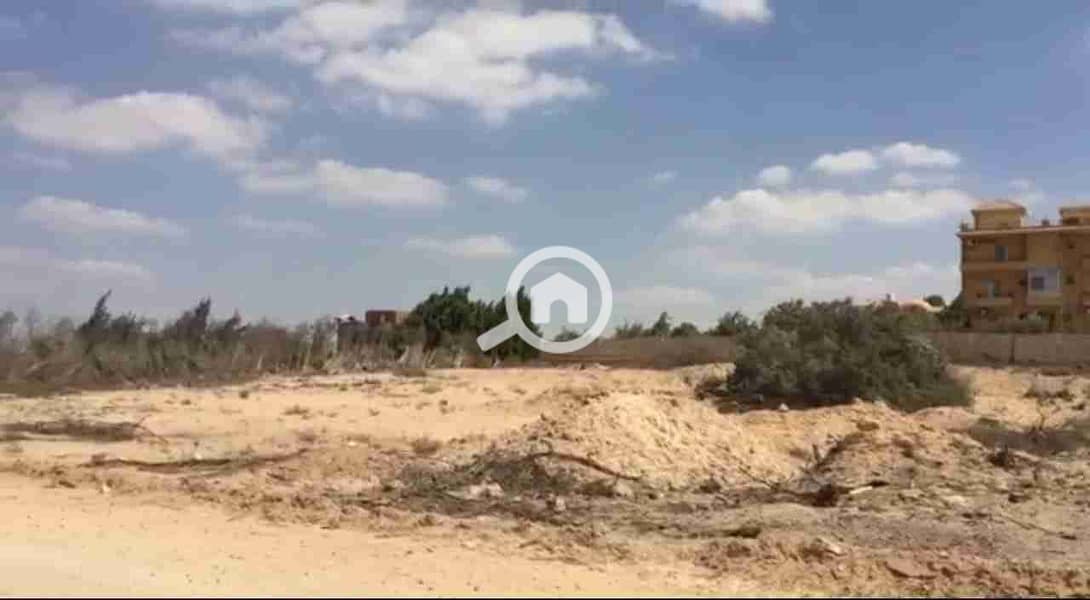 2 IMG-20240910-WA0004. jpg