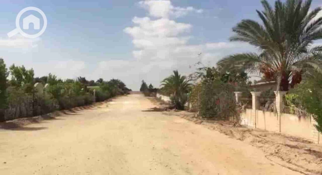 4 IMG-20240910-WA0005. jpg