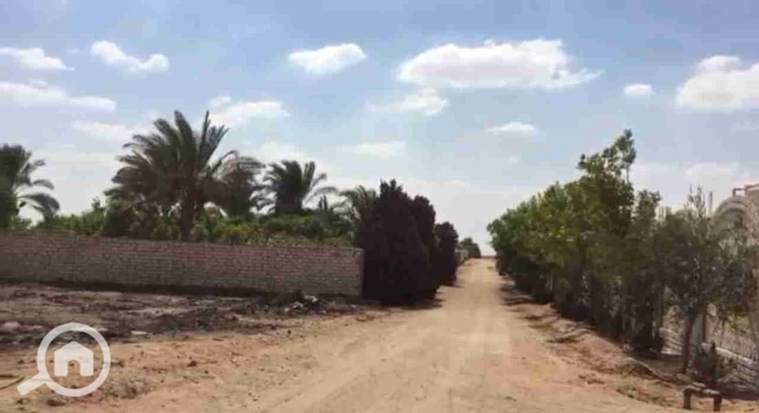 5 IMG-20240910-WA0000. jpg