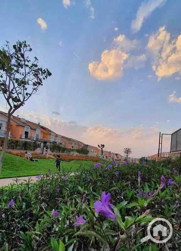 13 e7545d71-70fd-469f-a928-3eb8b38c3181. jpg