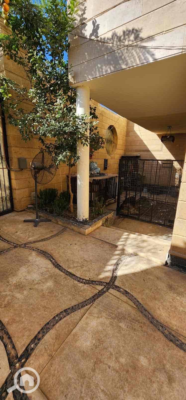 13 07d24673-6f35-4bbe-82cc-ea196ba73b75. jpg