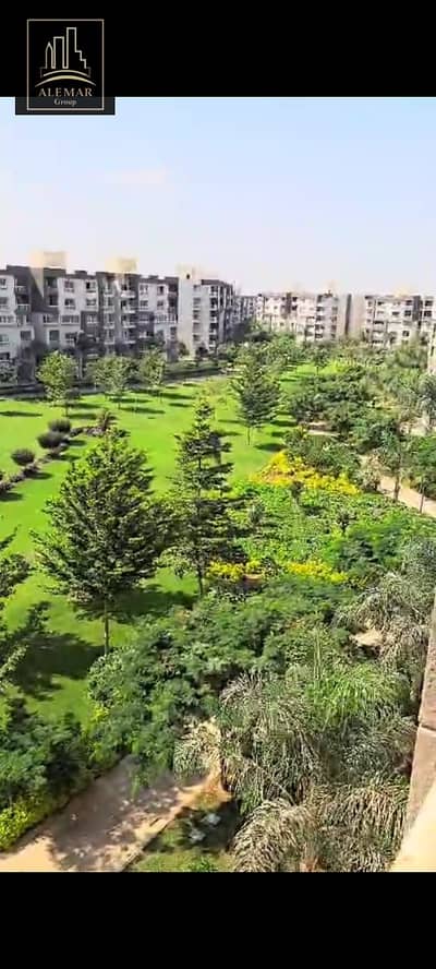 4 Bedroom Flat for Sale in Madinaty, Cairo - WhatsApp Image 2025-08-16 at 2.09. 46 AM (1). jpeg