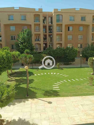 2 Bedroom Apartment for Rent in New Cairo, Cairo - 1000641535. jpg