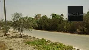 7 download (4). jpeg