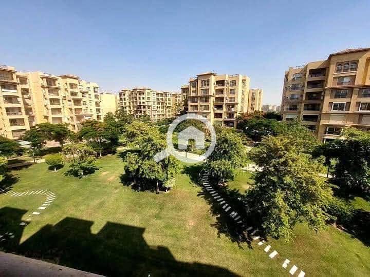 13 74906acf-4d13-4473-bb18-49999c33387b. jpeg