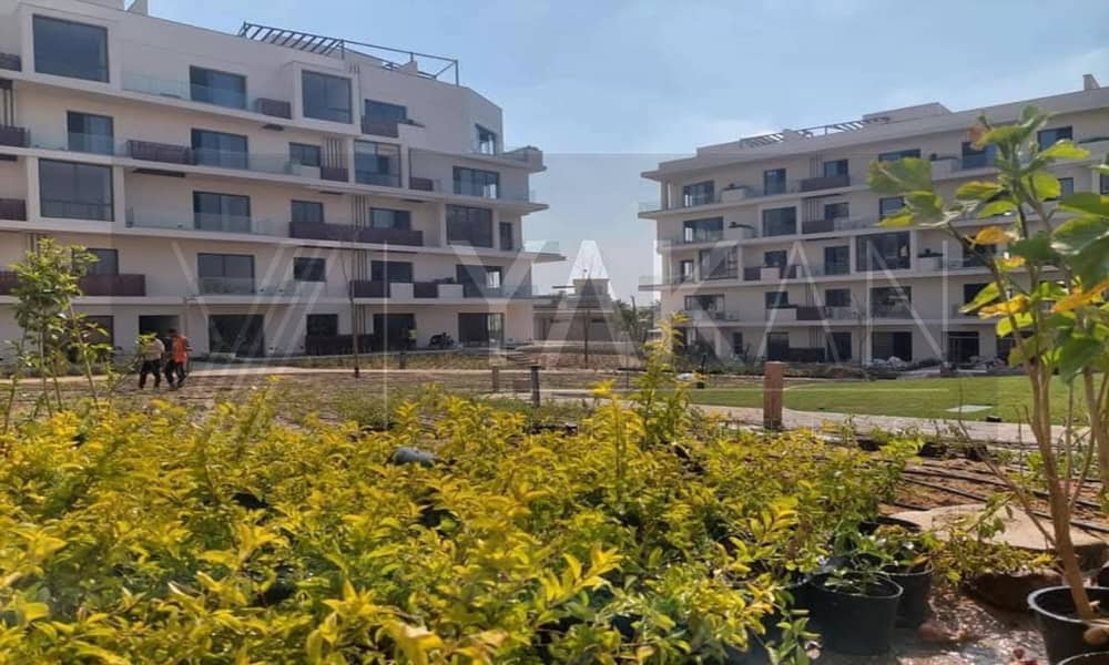 10 WhatsApp Image 2025-01-12 at 4.39. 21 PM. jpeg