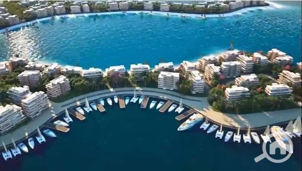 5 51a6e475-008b-4d1a-9c37-e036be355245. jpeg