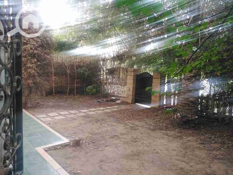 9 IMG-20251029-WA0019. jpg