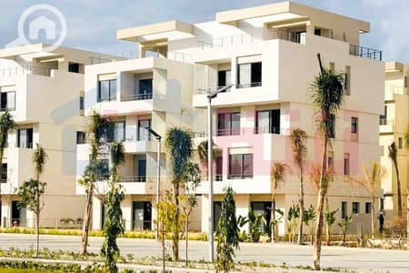 3 Bedroom Flat for Sale in Amreya, Alexandria - WhatsApp Image 2024-12-06 at 3.47. 21 AM. jpg