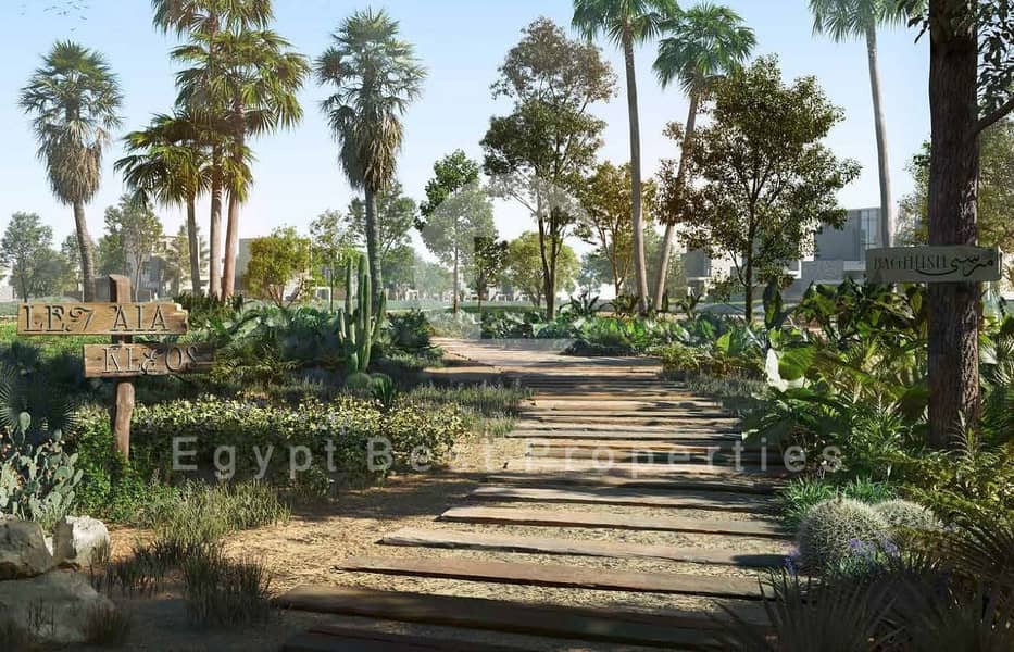 6 2MB. Brochure_Page_15_Image_0003. jpg