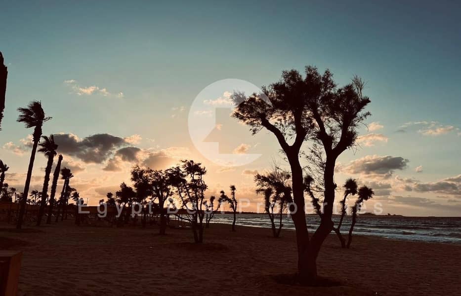 15 IMG-20250222-WA0324. jpg