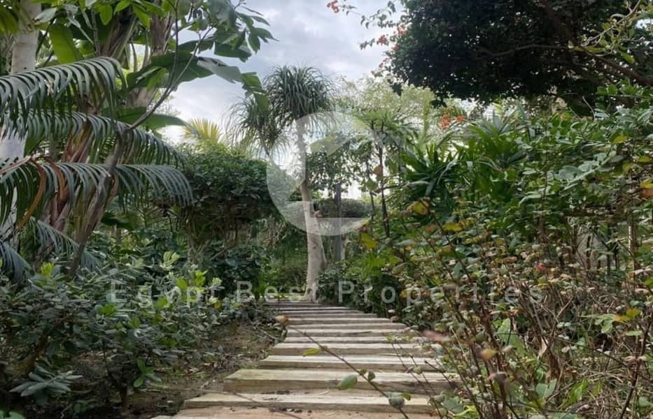 16 IMG-20250222-WA0328. jpg