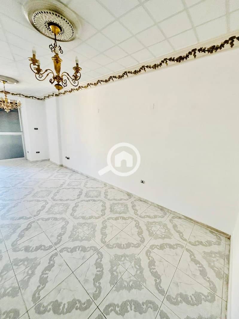 2 21c0fa22-8555-448f-8b7f-b85778a42b8f. jpeg