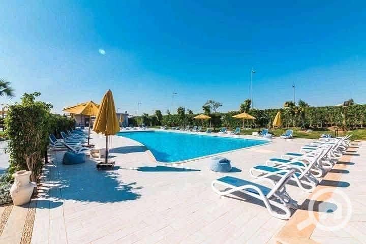 9 558055252_122226157982056878_8563630181437306917_n. jpg