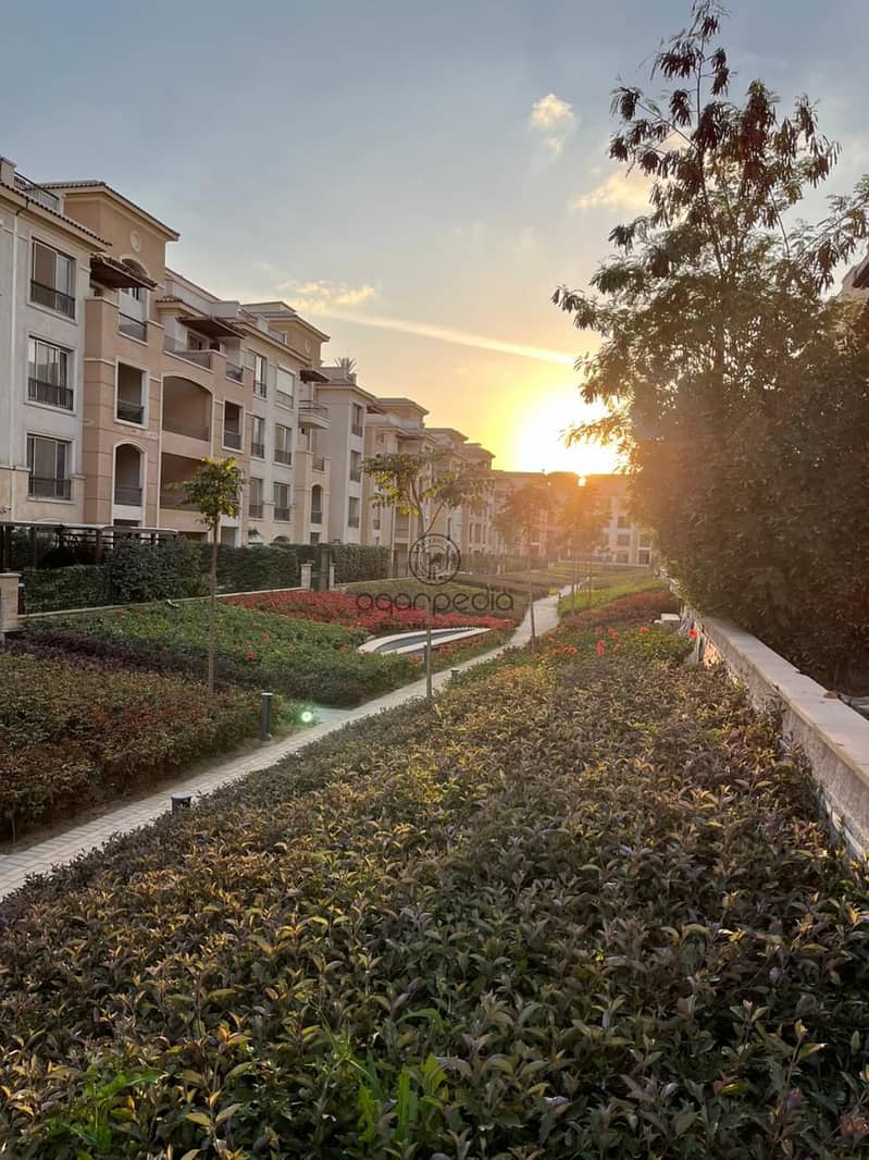 2 83926189-3d2b-4e62-a67c-64379b816b9c. jpeg