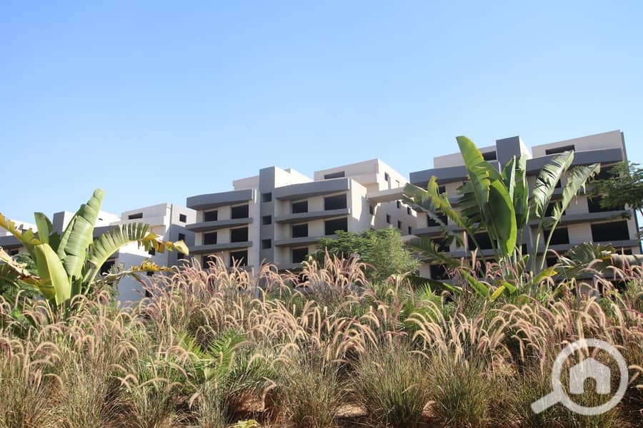 4 IMG-20251109-WA0059. jpg