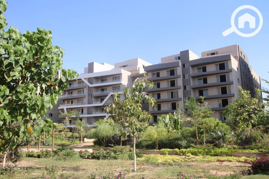 5 IMG-20251109-WA0060. jpg