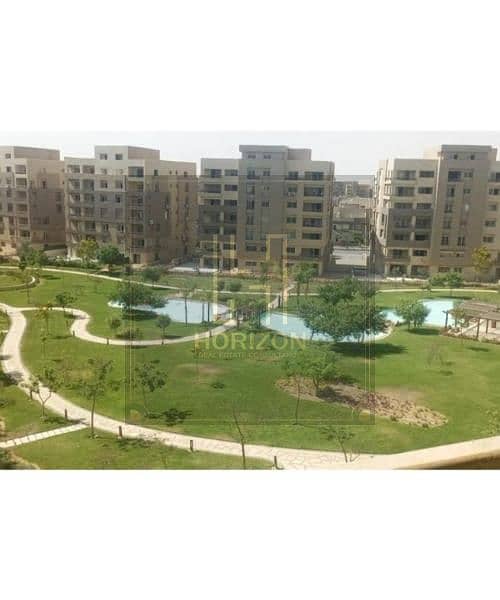 10 acee5065-3959-4a5a-83dc-1dc596ad5fdf. jpg