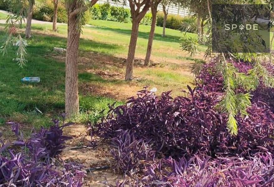 7 60221f2f-443f-496b-b9fe-51d1231cf998. jpg