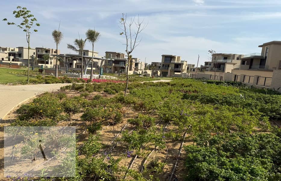 13 WhatsApp Image 2025-11-03 at 12.28. 23 AM. jpeg