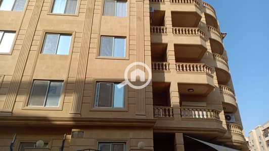 3 Bedroom Apartment for Sale in New Cairo, Cairo - 4a7bd157-aff9-43de-b60c-c7e6a3d8a782. jpeg