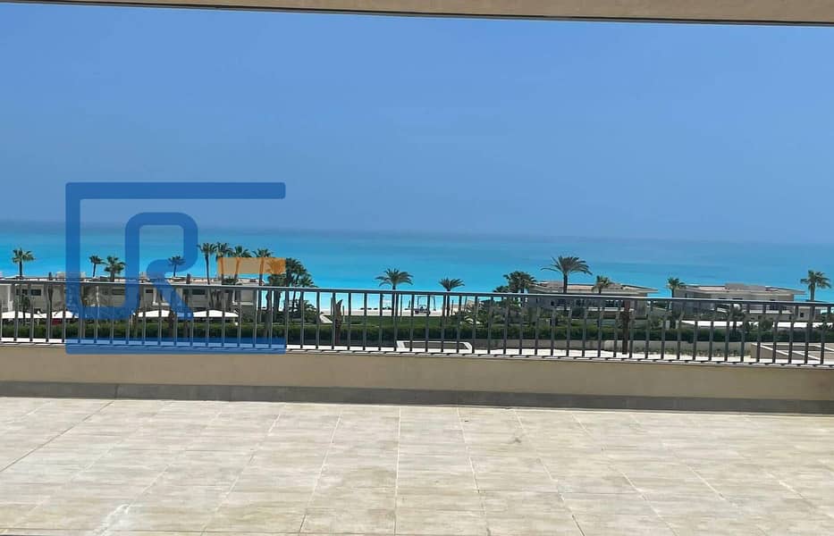 9 499734588_122221537310183603_705049681801347524_n. jpg