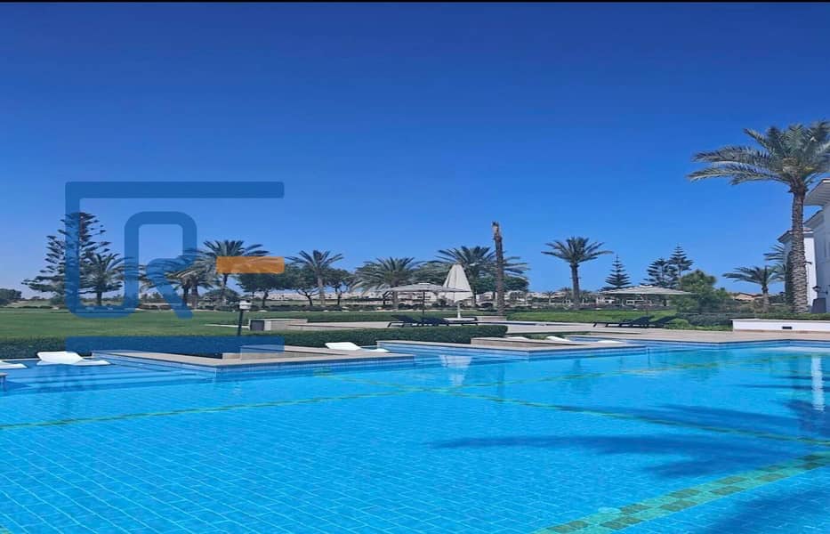 10 491631632_9560357464083644_1375429729896346355_n. jpg