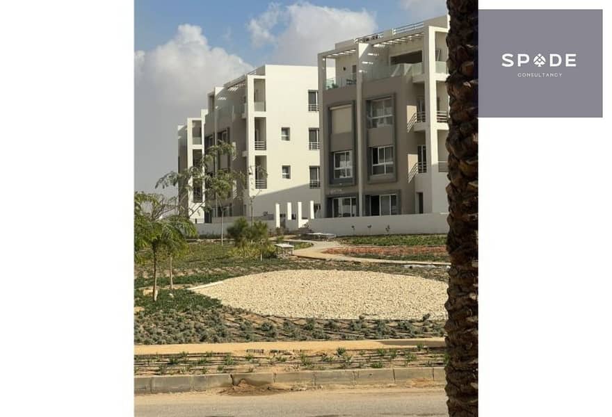 11 43908745-be08-401b-b305-7e279c221e57. jpg