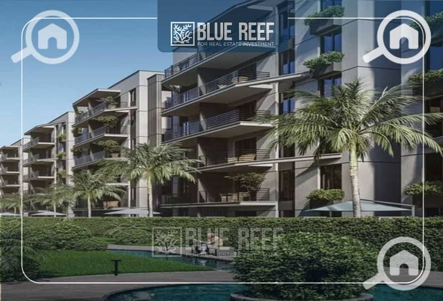 553lGmPjkA1HT02Za778RSmGFA6CALDQFGOm1wSN. jpeg