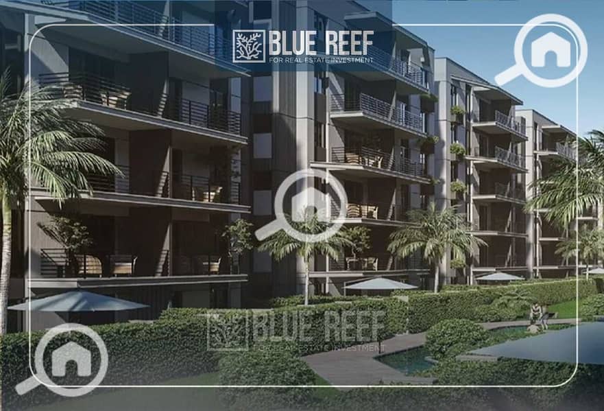 6 kuKaZ9DYNz927H1R0P9S6NyNnpM6zT9mYIsLHlCw. jpeg