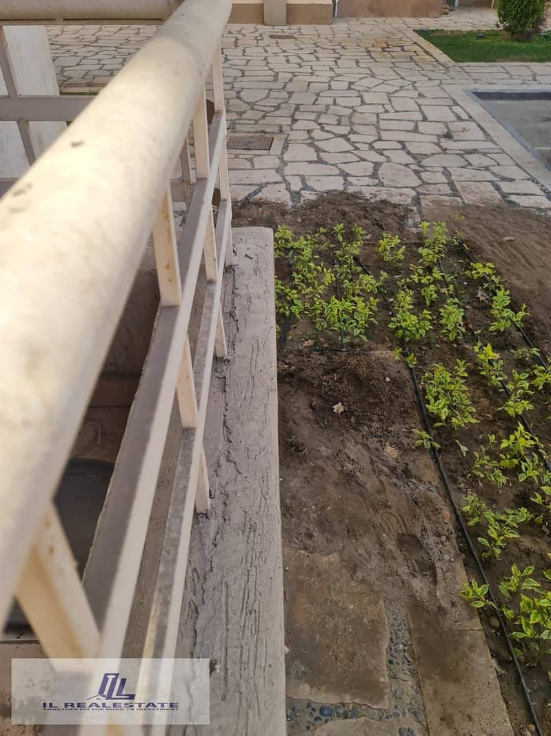 5 574338152_122111007447032544_854457181710994527_n. jpg