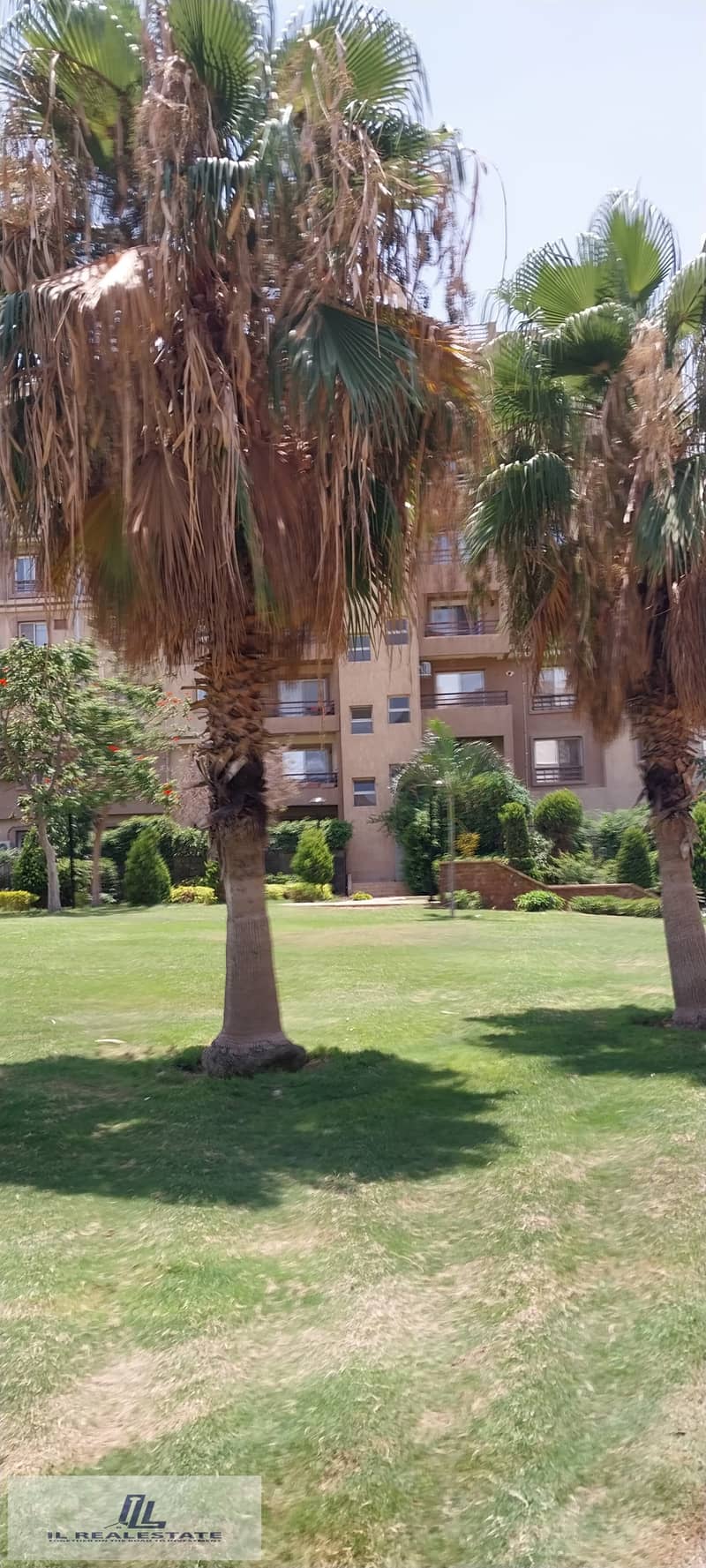 10 bd8b6aa5-0fc2-4b54-a983-8f974a800de3. jpg