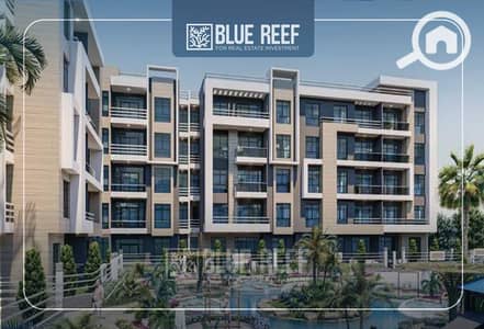 شقة 3 غرف نوم للبيع في القاهرة الجديدة، القاهرة - dfgchvjb. jpg