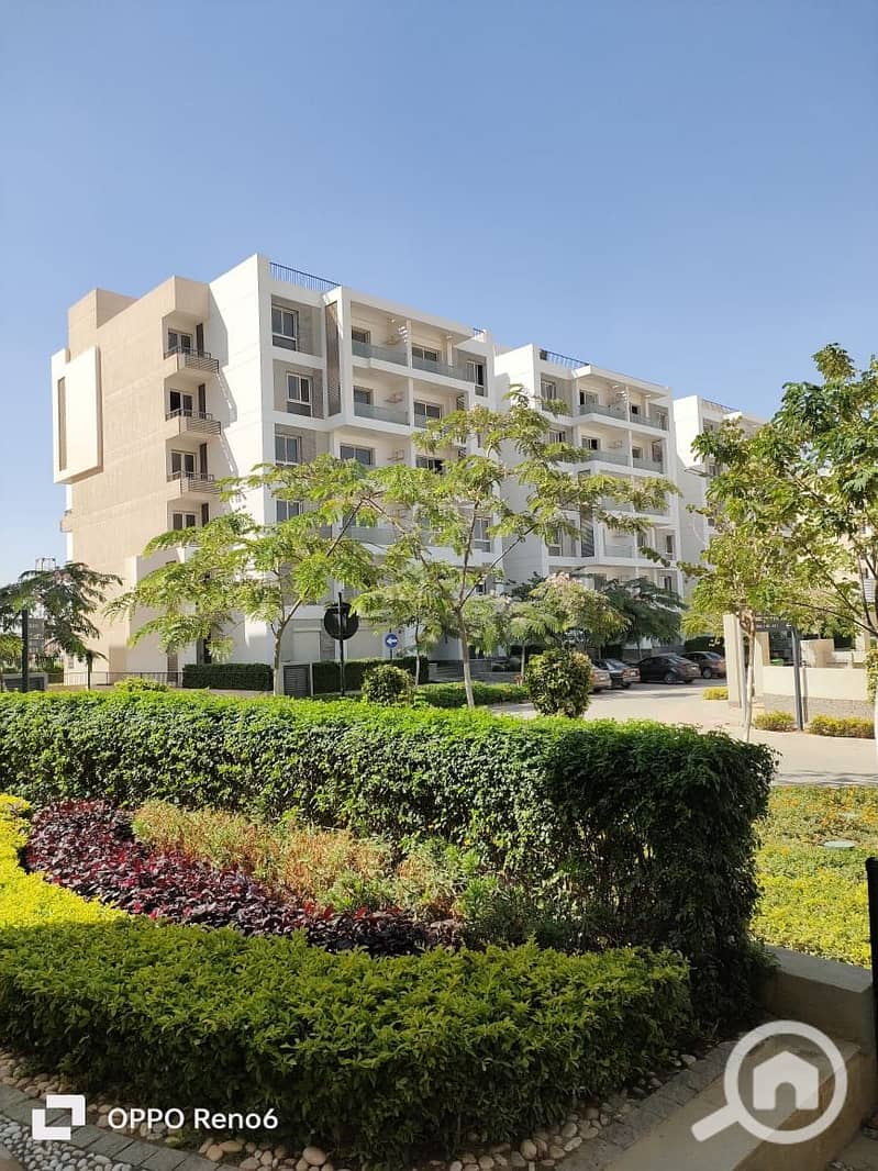 8 WhatsApp Image 2025-10-09 at 1.52. 39 PM (1). jpeg