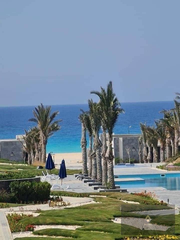 9 495048601_678516738478364_3556685807193023104_n. jpg