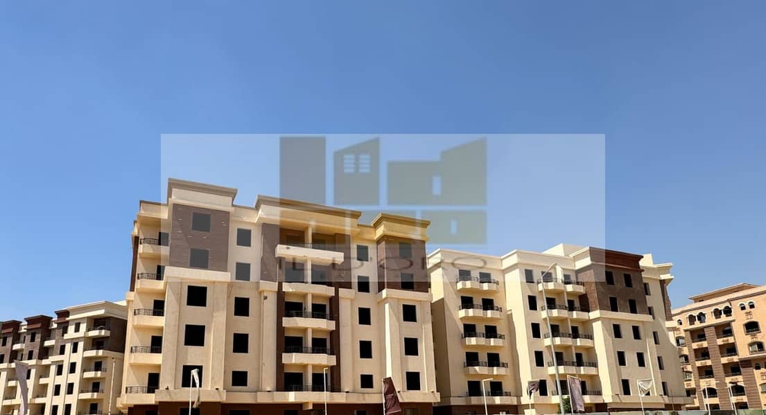 5 WhatsApp Image 2025-11-10 at 11.41. 34_77dbcbac. jpg