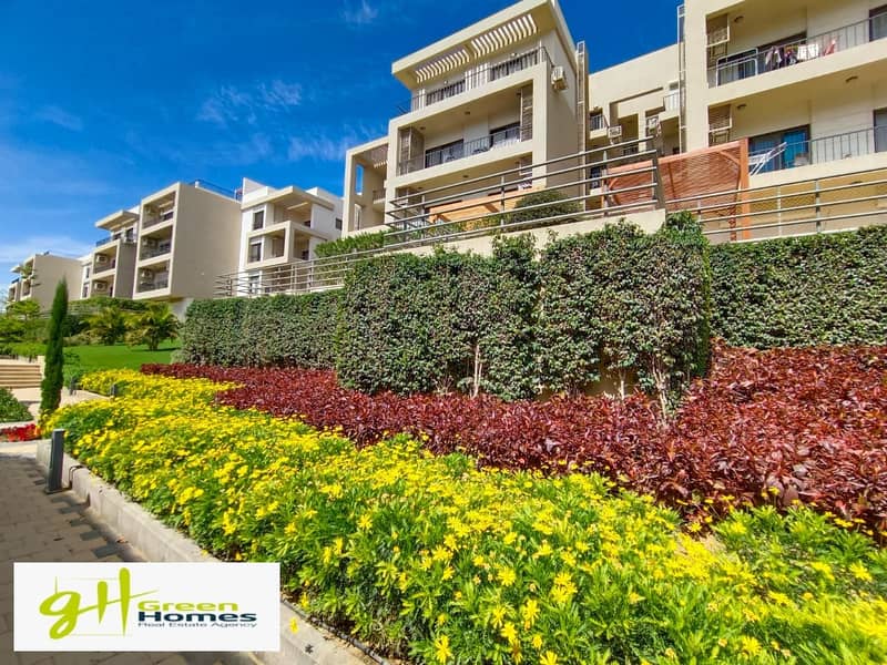 10 WhatsApp Image 2025-11-09 at 13.55. 26_b9386b05. jpg