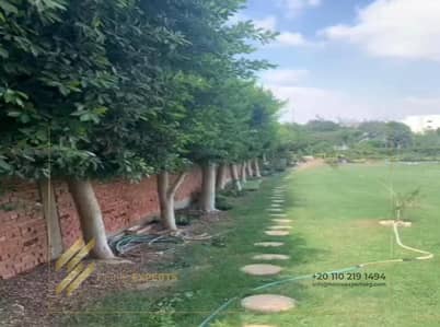 3 Bedroom Duplex for Rent in New Cairo, Cairo - WhatsApp Image 2025-11-10 at 12.44. 21 PM. jpeg