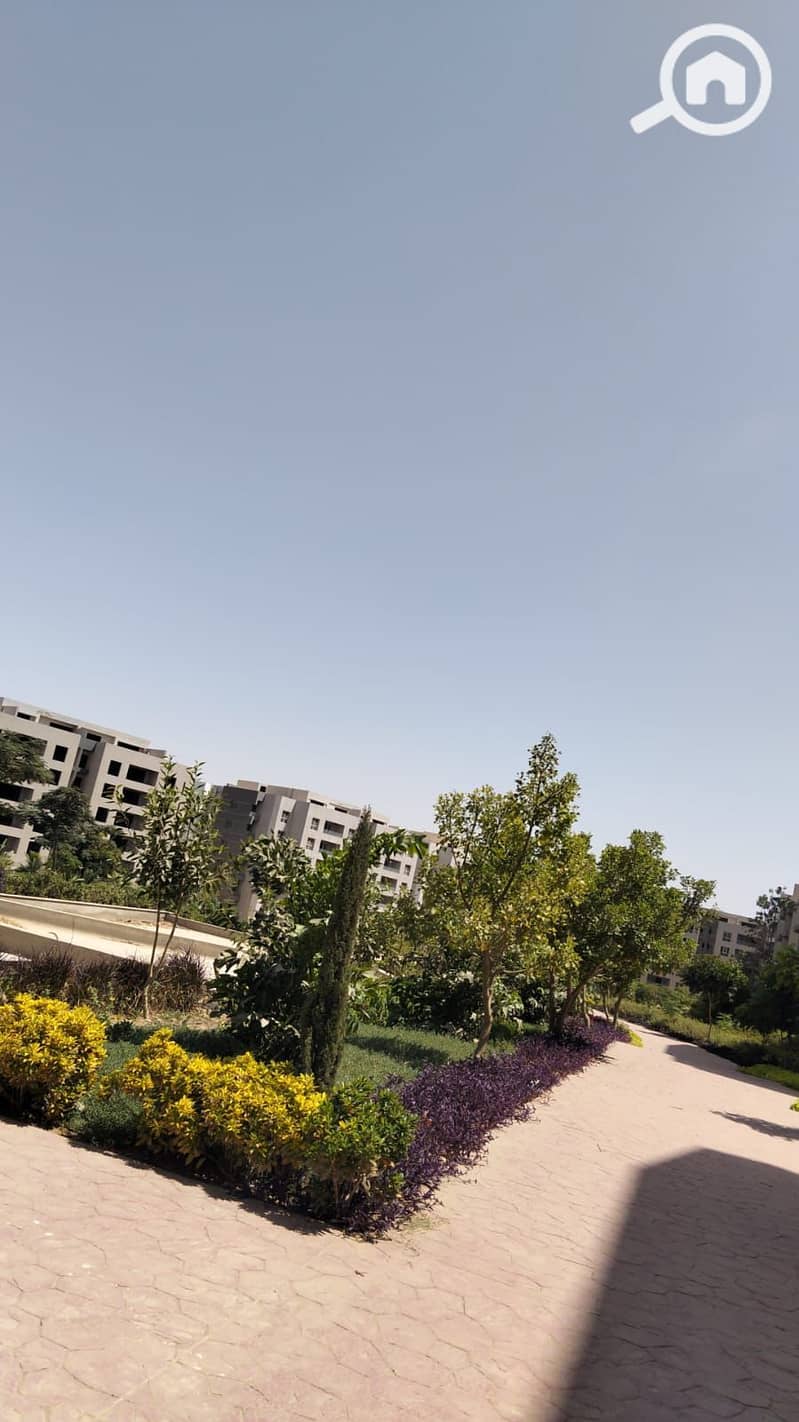 6 36a0910b-9321-4c24-8bac-2921d31dec7f. jpg