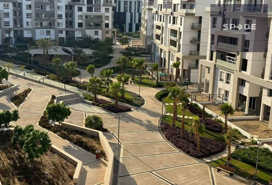 4 390c7d12-75c1-4b8f-a525-81948d4aefde. jpg