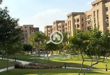 4 WhatsApp Image 2025-11-10 at 1.08. 22 PM (2). jpeg