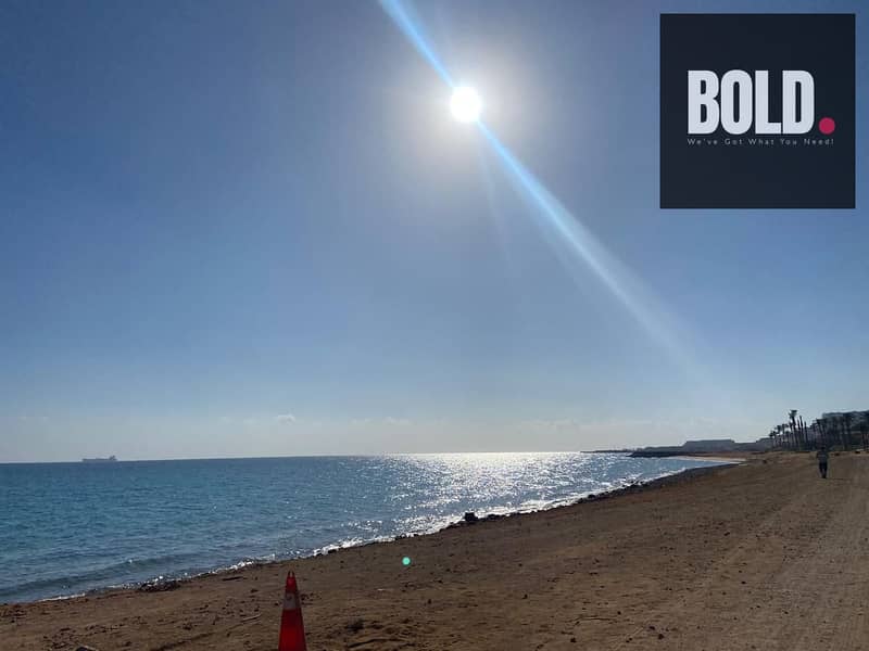 9 bf281245-18f3-4459-8fda-073563c95eda. jpeg