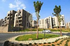 3 download (2) - Copy. jpg