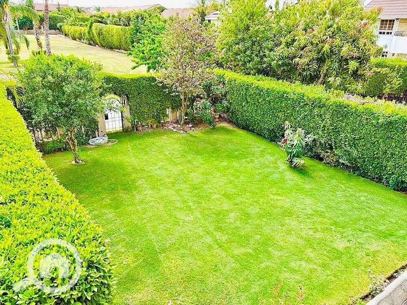 5 499137979_122224312766197794_3423173932978903367_n. jpg