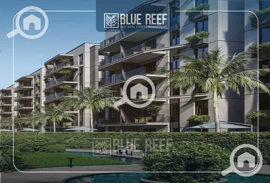 553lGmPjkA1HT02Za778RSmGFA6CALDQFGOm1wSN. jpeg