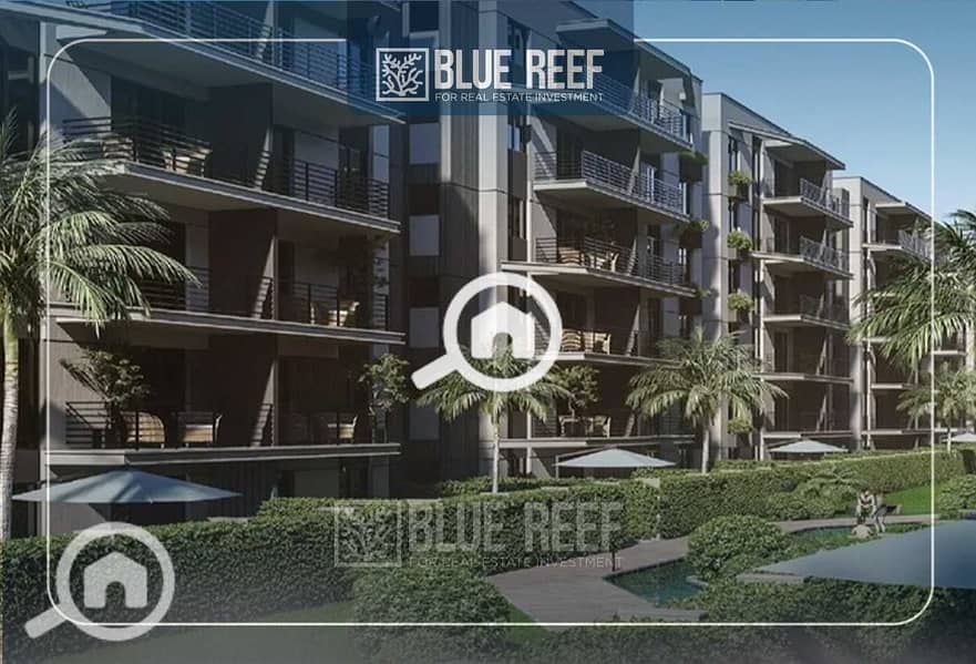 6 kuKaZ9DYNz927H1R0P9S6NyNnpM6zT9mYIsLHlCw. jpeg