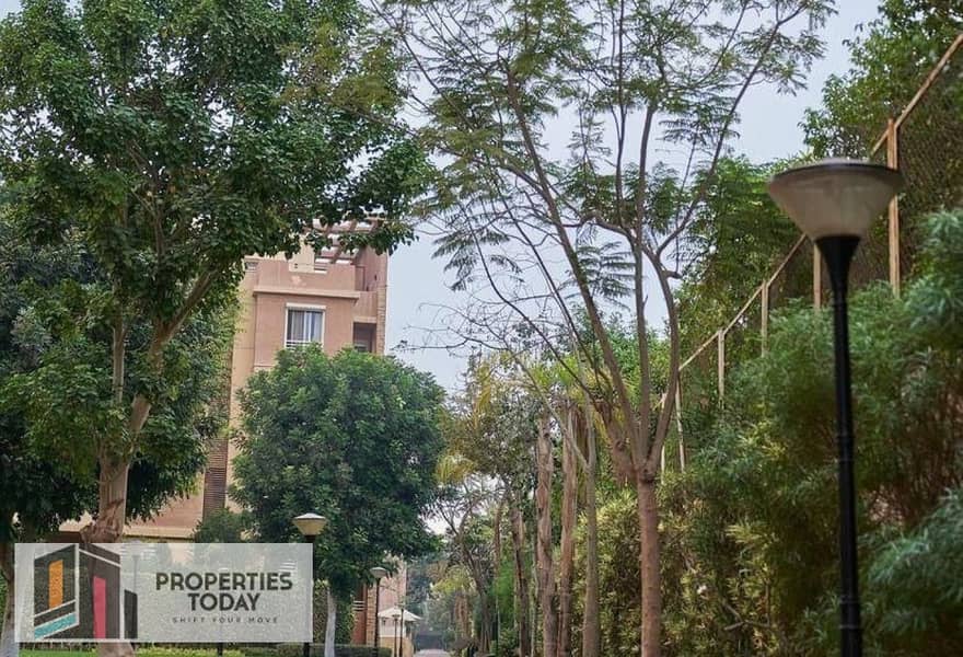 2 3bd752a9-6d02-4dac-8f2a-6a6b31167d09. jpg