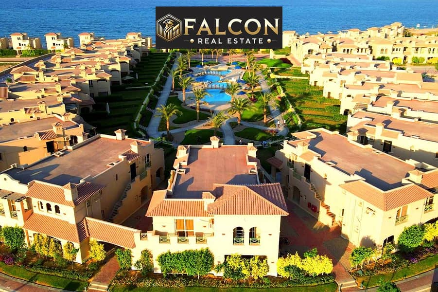 10 576262507_10224743788541907_7704132646466901829_n. jpg