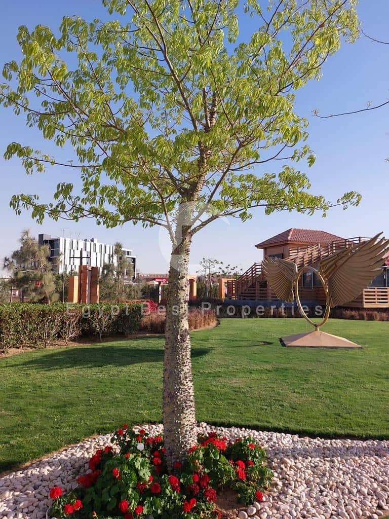 6 WhatsApp Image 2025-10-23 at 12.08. 16 PM. jpeg